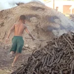 Antes do Bolsa Família, eu vi crianças sem infância
